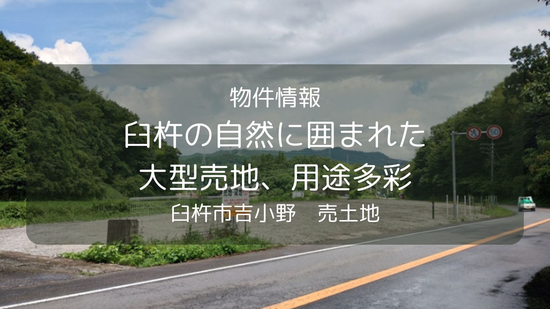 物件　ひまわり、臼杵市